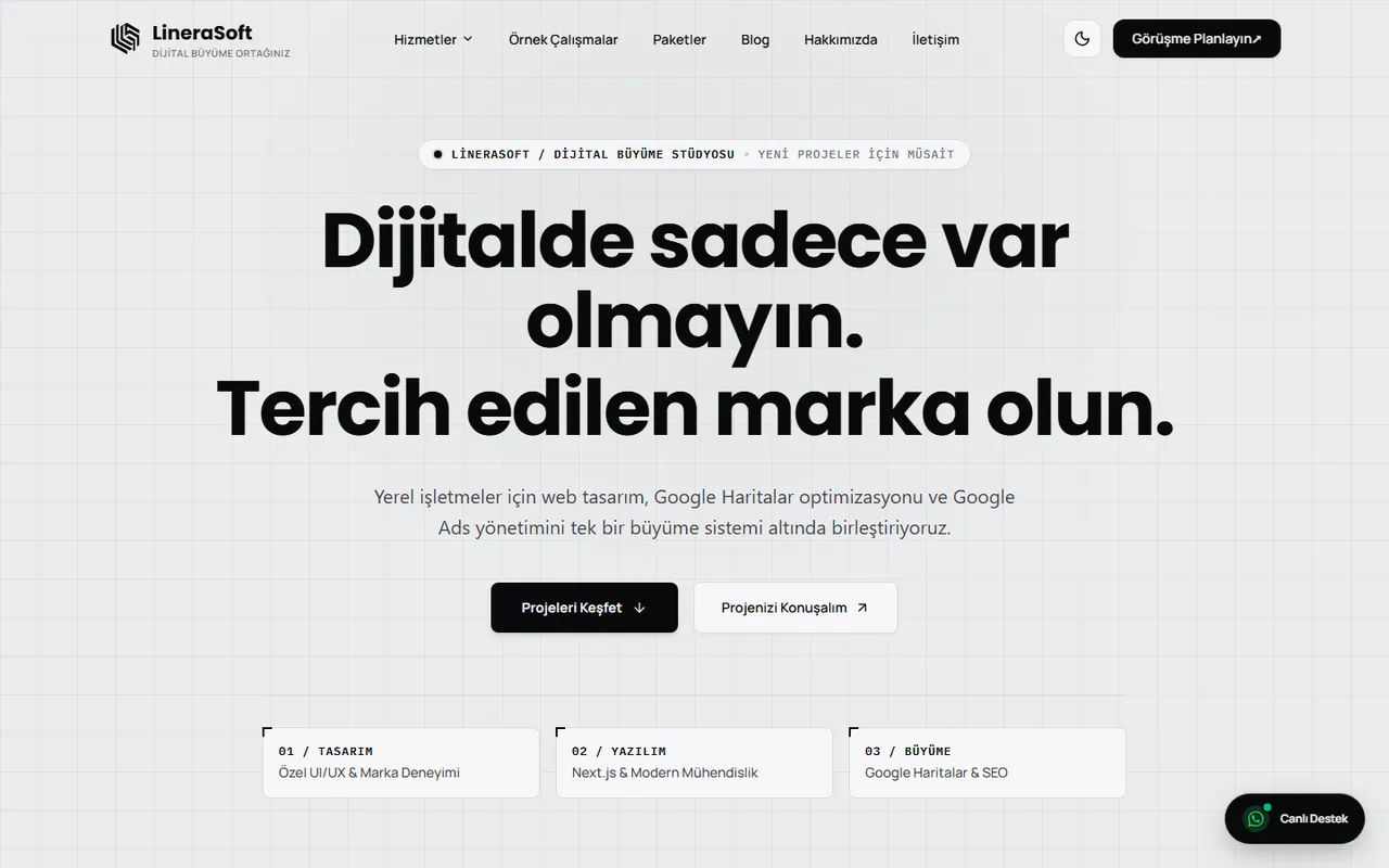 LineraSoft web sitesi
